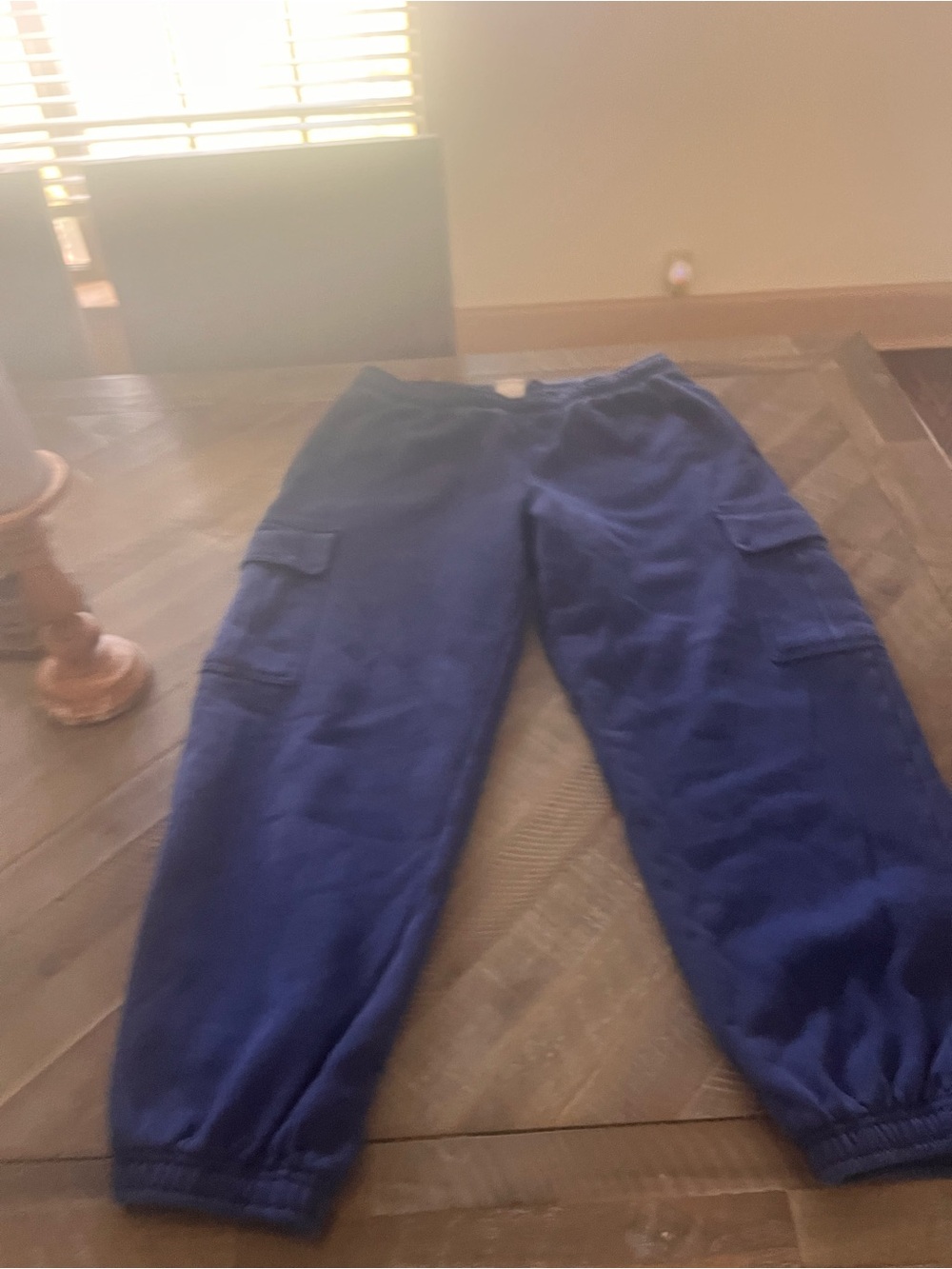 Aritzia Navy Blue Cargo Jogger sweatPants